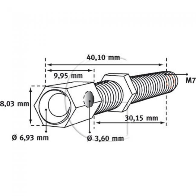 Einstellschraube / L = 40,10 mm / Aussendurchmesser = 8,03 mm / Innendurchmesser = 6,93>3,60 mm / Ge...