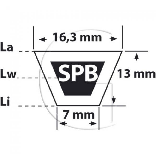Riemen / L = 1250 Lw / B = 17 mm / Typ = SPB 1250 - MITSUBOSHI