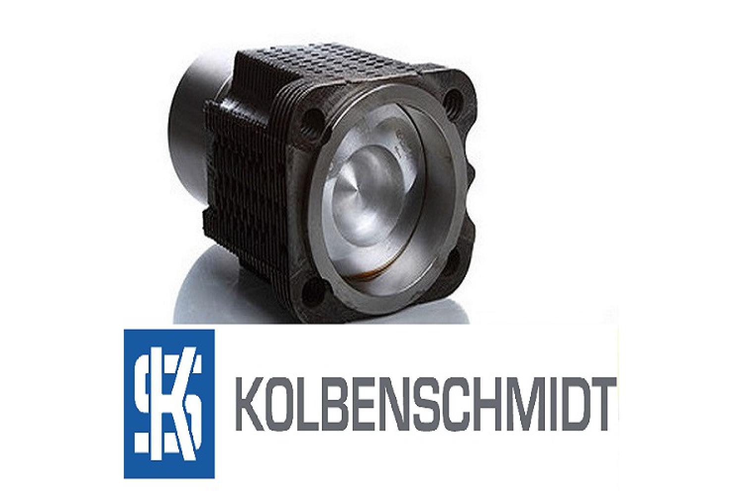 Zylindersatz Kolben Büchse 100mm DEUTZ Motor FL912 FL913 2506 3006 4006 4506 