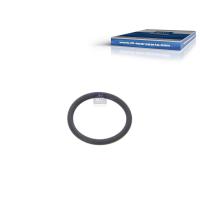 20 Stück O-Ring - DT Spare Parts 1.24313 / D: 13,2 mm, S: 1,5 mm