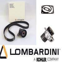 Lombardini Wasserpumpe inkl. Dichtungssatz Zahnriemen 108 Z. Spannrolle LDW 502