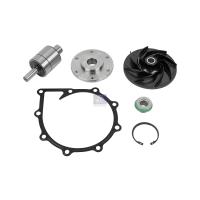 Reparatursatz, Wasserpumpe DI: 135 mm - DT Spare Parts 3.90607