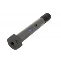 Schraube - DT Spare Parts 2.61089 / M20 x 2,5, LTh: 33 mm, Lu: 125 mm